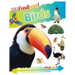 DK Findout! Educational Book 8 DK Findout! Educational Book -Latestbuy bs1jdvy02 1000a