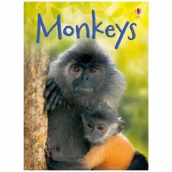 Monkeys Picture Book