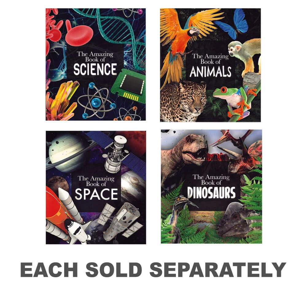 The Amazing Book 1 The Amazing Book