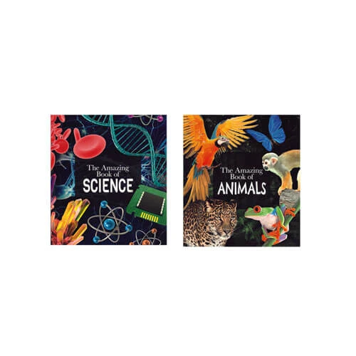 The Amazing Book 2 The Amazing Book - Image 2