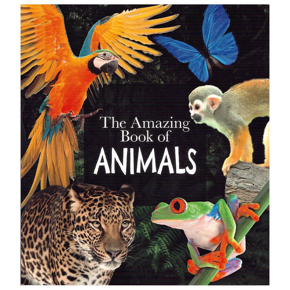 The Amazing Book 4 The Amazing Book - Image 4