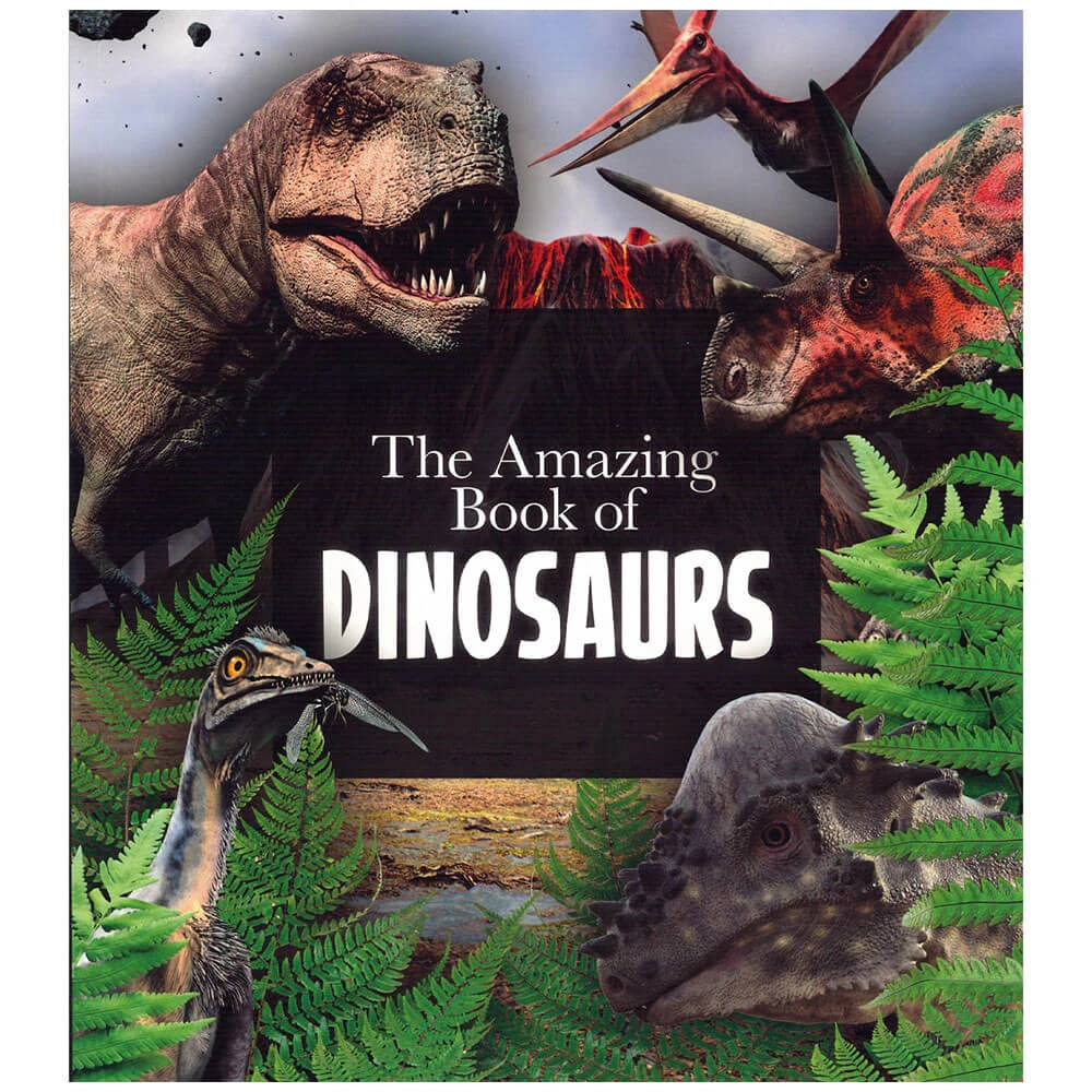 The Amazing Book 5 The Amazing Book - Image 5