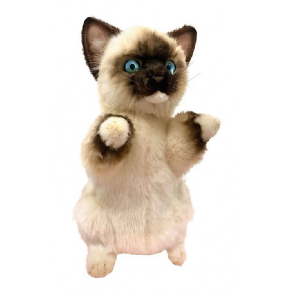 Rag Doll Kitten Puppet 1 Rag Doll Kitten Puppet
