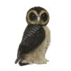 Asian Brown Wood Owl (28cm H)
