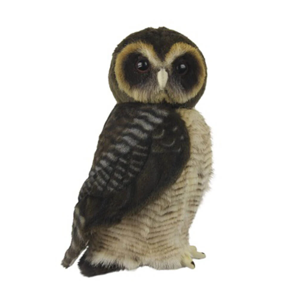 Asian Brown Wood Owl (28cm H) 1 Asian Brown Wood Owl (28cm H)