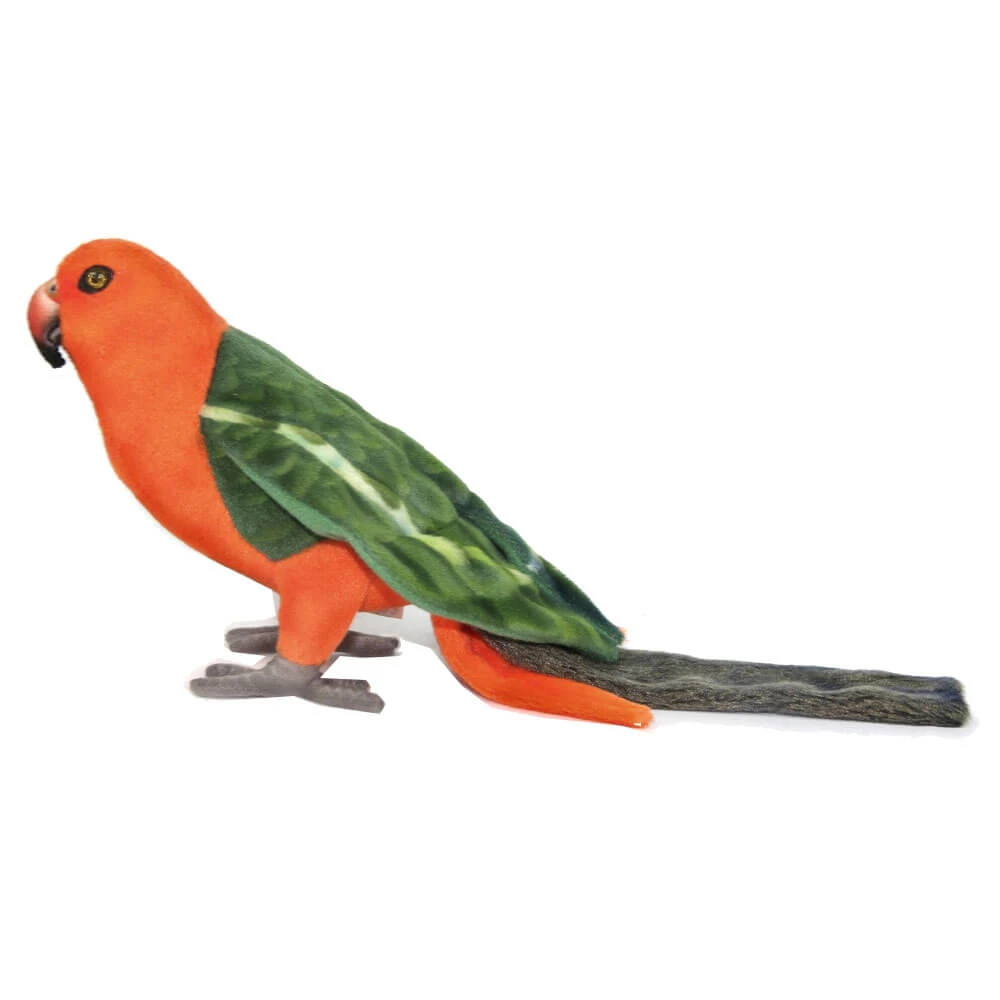 King Parrot Plush Toy (19cm W) 1 King Parrot Plush Toy (19cm W)