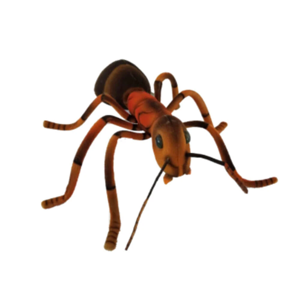 Ant Plush Toy (25cm W) 1 Ant Plush Toy (25cm W)