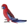 Crimson Rosella Plush Toy (30cm L)